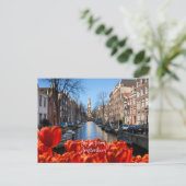 Carte Postale Bonjour de Amsterdam Spring Red Tulips (Debout devant)