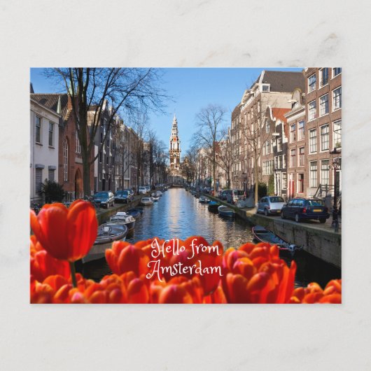 Carte Postale Bonjour de Amsterdam Spring Red Tulips (Devant)