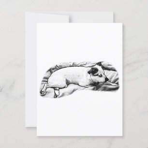 Carte Postale Bonjour de Blanket et Buddy