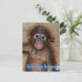 Carte Postale Bonjour de Borneo Orangutan Orphan Secourt (Debout devant)