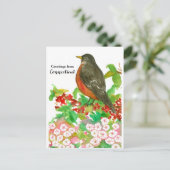 Carte Postale Bonjour de Connecticut American Robin (Debout devant)