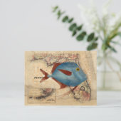 Carte Postale Bonjour de Floride (Debout devant)