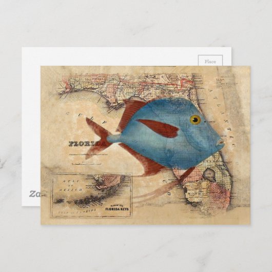 Carte Postale Bonjour de Floride (Devant / Derrière)