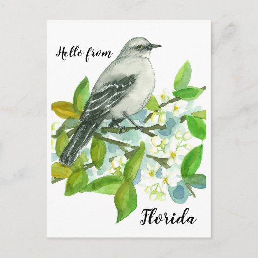 Carte Postale Bonjour De Floride Mockingbird Orange Blossom (Devant)