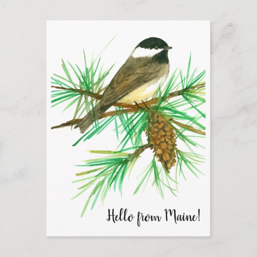 Carte Postale Bonjour de Maine Black Capped Chickadee Bird (Devant)
