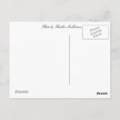 Carte Postale Bonjour de... Mont Rushmore (Dos)