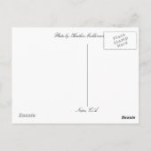 Carte Postale Bonjour de… Napa Valley CA (Dos)