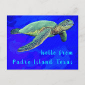 Carte Postale Bonjour de Padre Island TX Ocean Blue Sea Turtle (Devant)