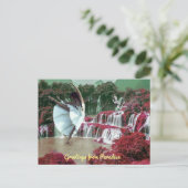 Carte Postale Bonjour de Paradise Postcard (Debout devant)