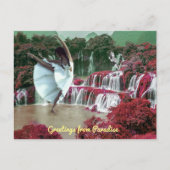 Carte Postale Bonjour de Paradise Postcard (Devant)