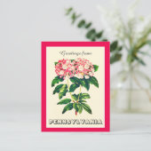 Carte Postale Bonjour de Pennsylvania Mountain Laurel (Debout devant)