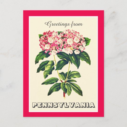 Carte Postale Bonjour de Pennsylvania Mountain Laurel (Devant)