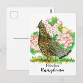 Carte Postale Bonjour de Pennsylvanie Ruffed Grouse Bird (Devant / Derrière)