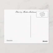 Carte Postale Bonjour de... Seneca Falls, NY (Dos)