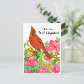 Carte Postale Bonjour de West Virginia Cardinal du Nord (Debout devant)