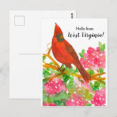 Carte Postale Bonjour de West Virginia Cardinal du Nord (Devant / Derrière)