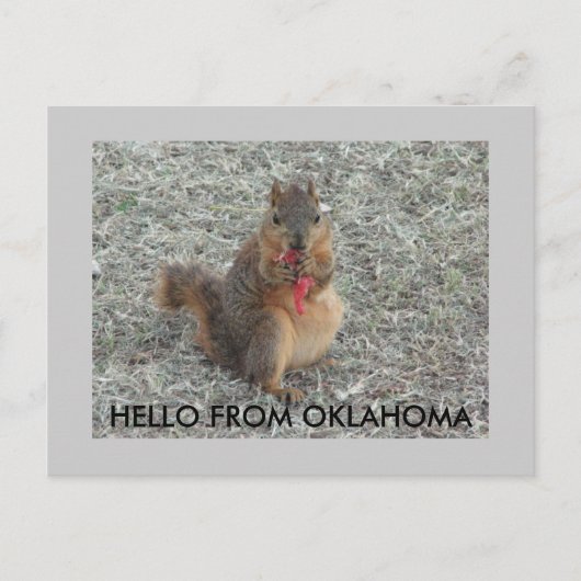 CARTE POSTALE BONJOUR D'OKLAHOMA (Devant)