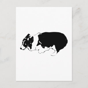 Carte Postale Bonjour du berger heureux