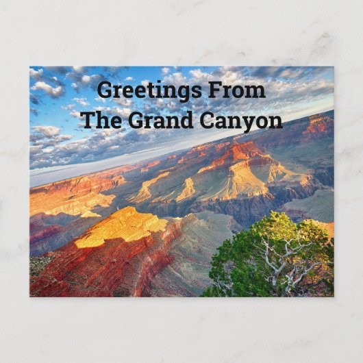 Carte Postale Bonjour du Grand Canyon (Devant)