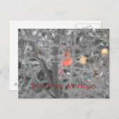 Carte Postale Bonjour du Michigan (Devant / Derrière)