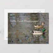 Carte Postale Bonjour Du Mississippi ! (Devant / Derrière)