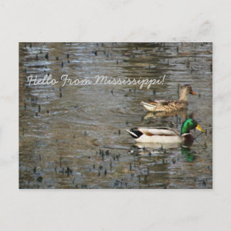 Carte Postale Bonjour Du Mississippi !
