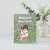 Carte Postale Bonjour du Texas ! (Debout devant)