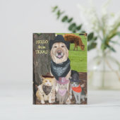 Carte Postale Bonjour du Texas ! (Debout devant)