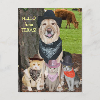 Carte Postale Bonjour du Texas !
