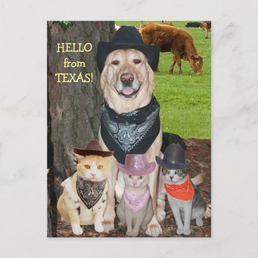 Carte Postale Bonjour du Texas ! (Devant)