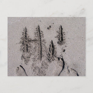 Carte Postale Bonjour ! Écrit en Floride sable avec empreintes