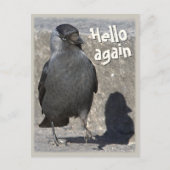 Carte Postale Bonjour encore CC0518 Jackdaw Postcard (Devant)