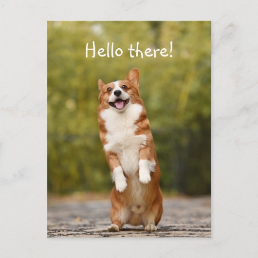 Carte Postale Bonjour ! / Funny Corgi (Devant)