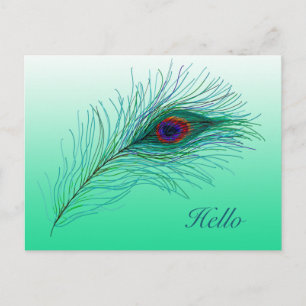 Carte Postale Bonjour, Garder en contact Peacock Feathers