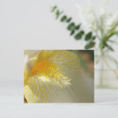 Carte Postale Bonjour, Iris ! (Debout devant)