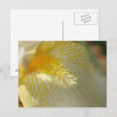 Carte Postale Bonjour, Iris ! (Devant / Derrière)