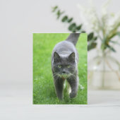 Carte Postale Bonjour, je m'appelle Miki (Debout devant)