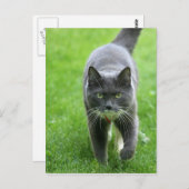 Carte Postale Bonjour, je m'appelle Miki (Devant / Derrière)