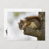 Carte Postale Bonjour Là-Bas (Devant / Derrière)