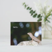 Carte Postale Bonjour Lizard (Debout devant)