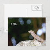 Carte Postale Bonjour Lizard (Devant / Derrière)