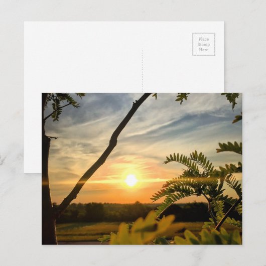 Carte Postale Bonjour, Oklahoma (Devant / Derrière)