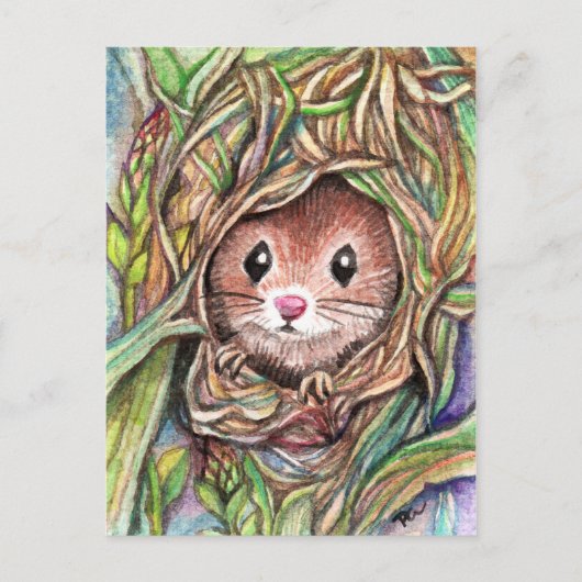 Carte Postale Bonjour Petit Ami (Devant)