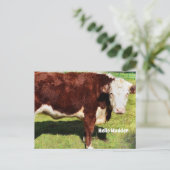 Carte Postale Bonjour PostCard (Debout devant)