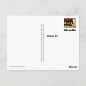 Carte Postale Bonjour PostCard (Dos)