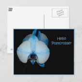 Carte Postale Bonjour Postcross (Devant / Derrière)