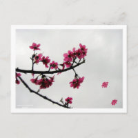Bonjour Printemps/Fleurs de cerisiers Kanji