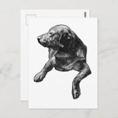 Carte Postale Bonjour rapide avec des points fins (Devant / Derrière)