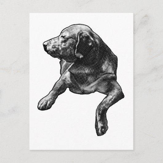 Carte Postale Bonjour rapide avec des points fins (Devant)