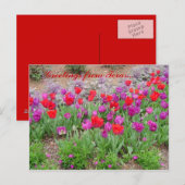 Carte Postale Bonjour RED TeXaS (Devant / Derrière)